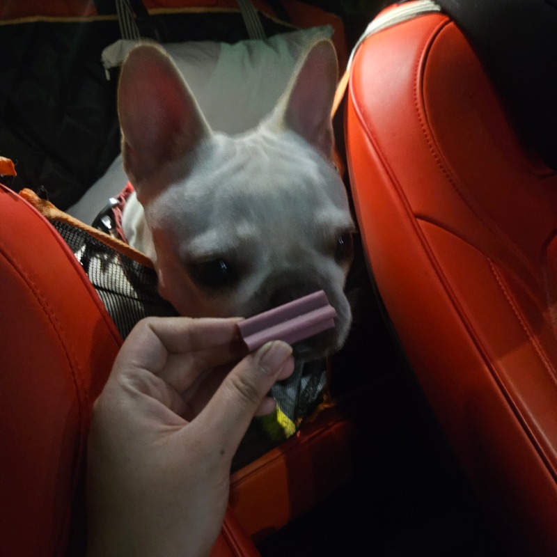 오랄4.jpg
