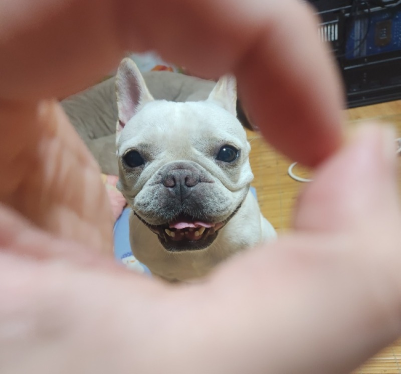 찐빵