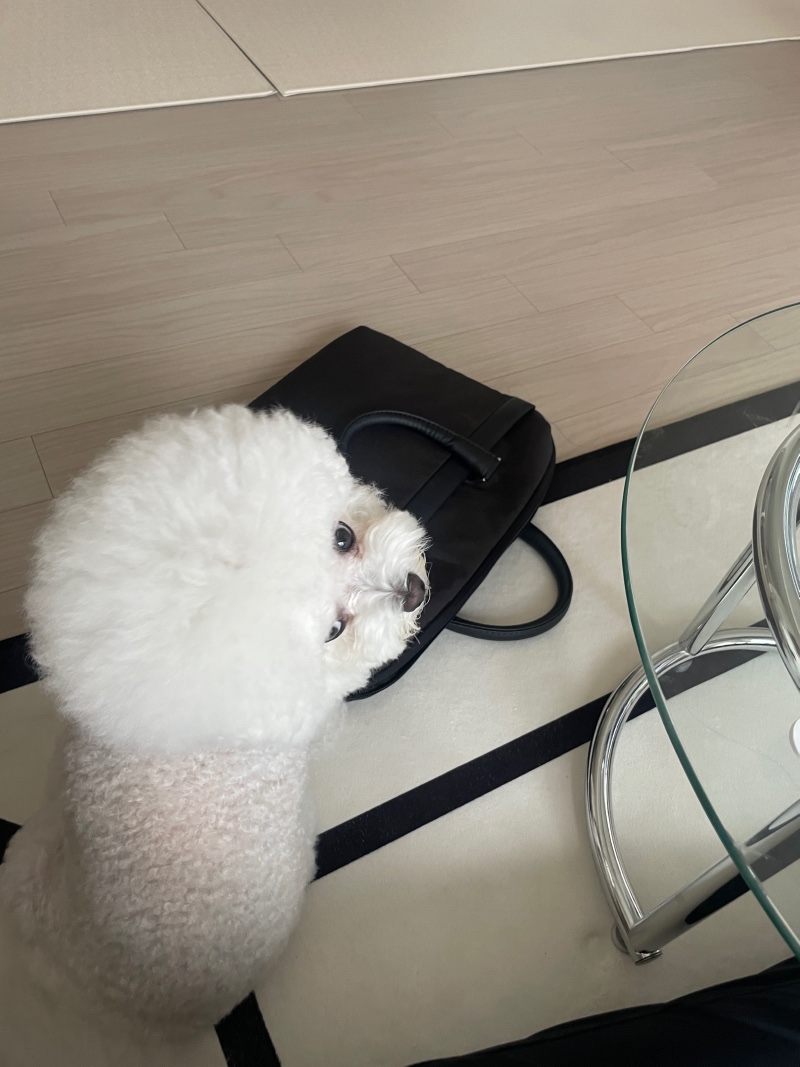 귀여운 울애기