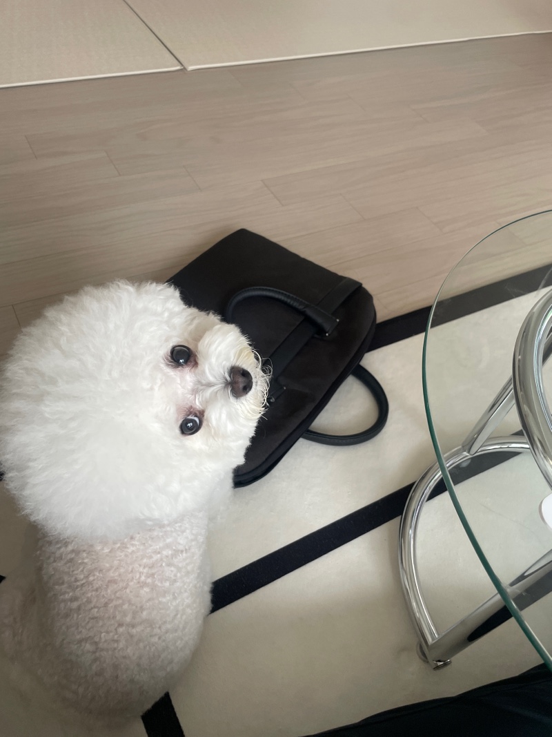 귀여운 울애기