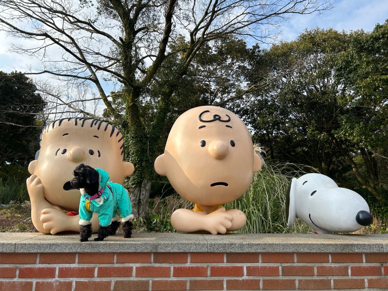 애견동반 가능한 스누피가든 