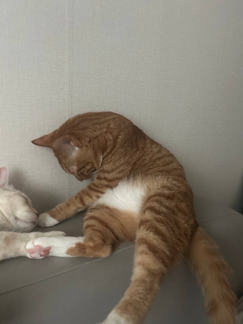 흠냐..막내 일어나봐