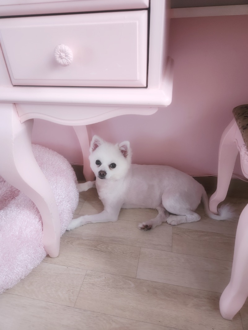 날 더울땐 바닥이 최고