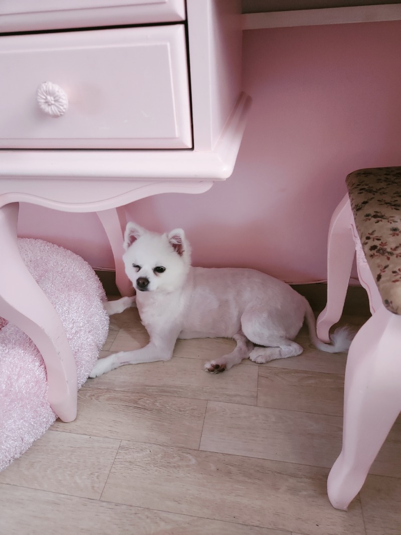날 더울땐 바닥이 최고