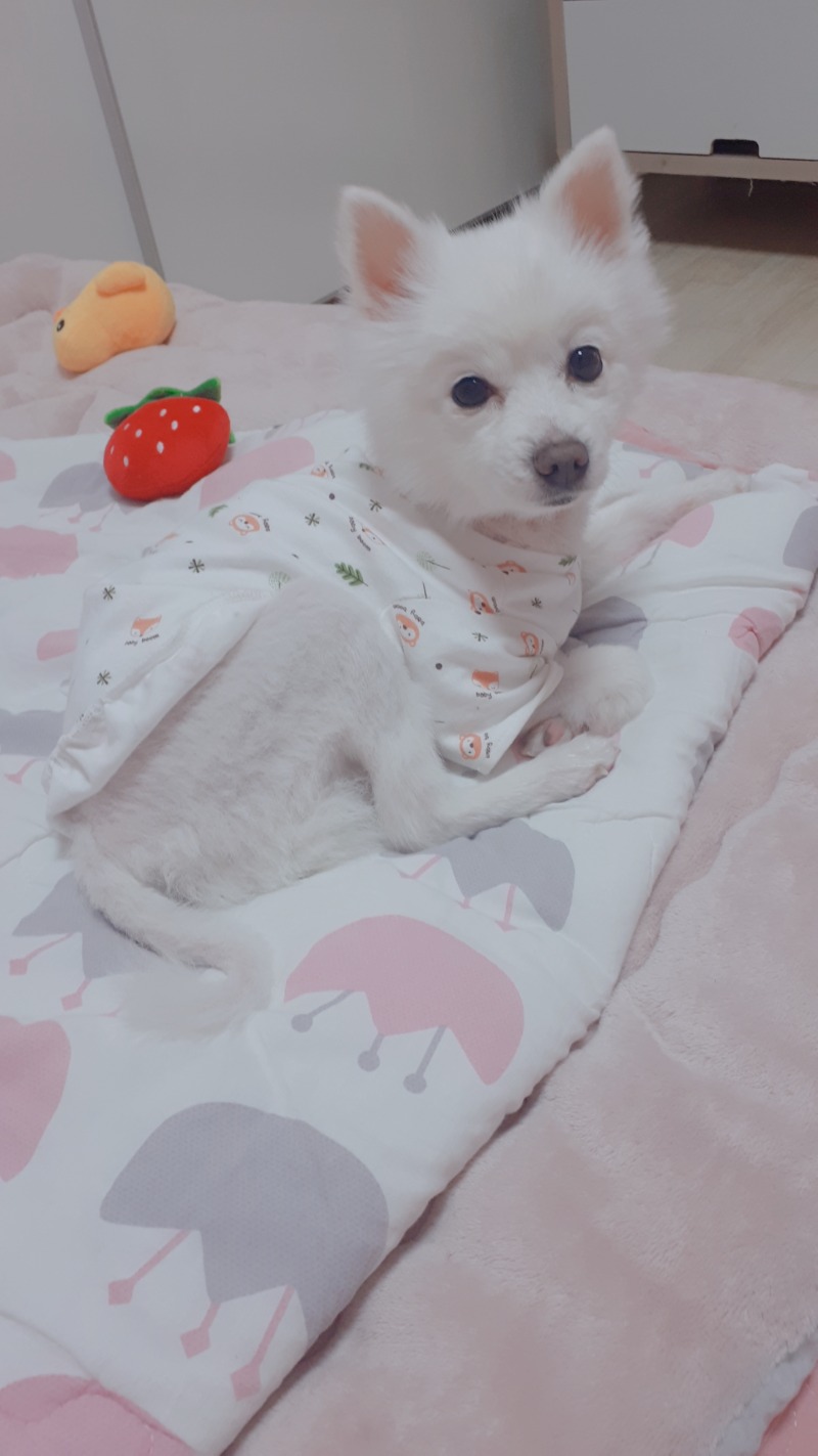 젊은시절