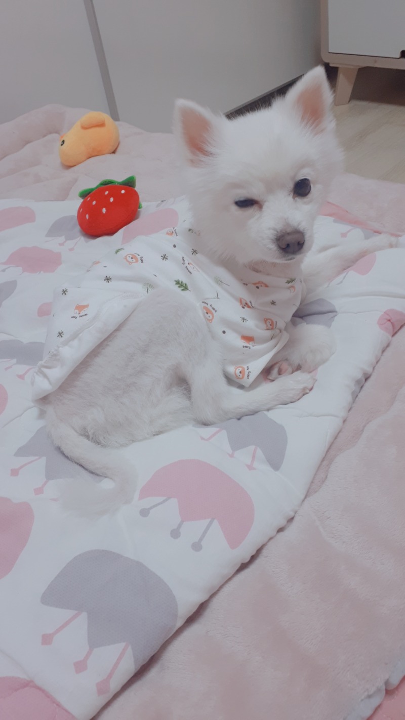 젊은시절