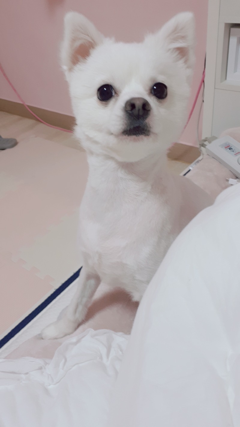 애기 5살때♡