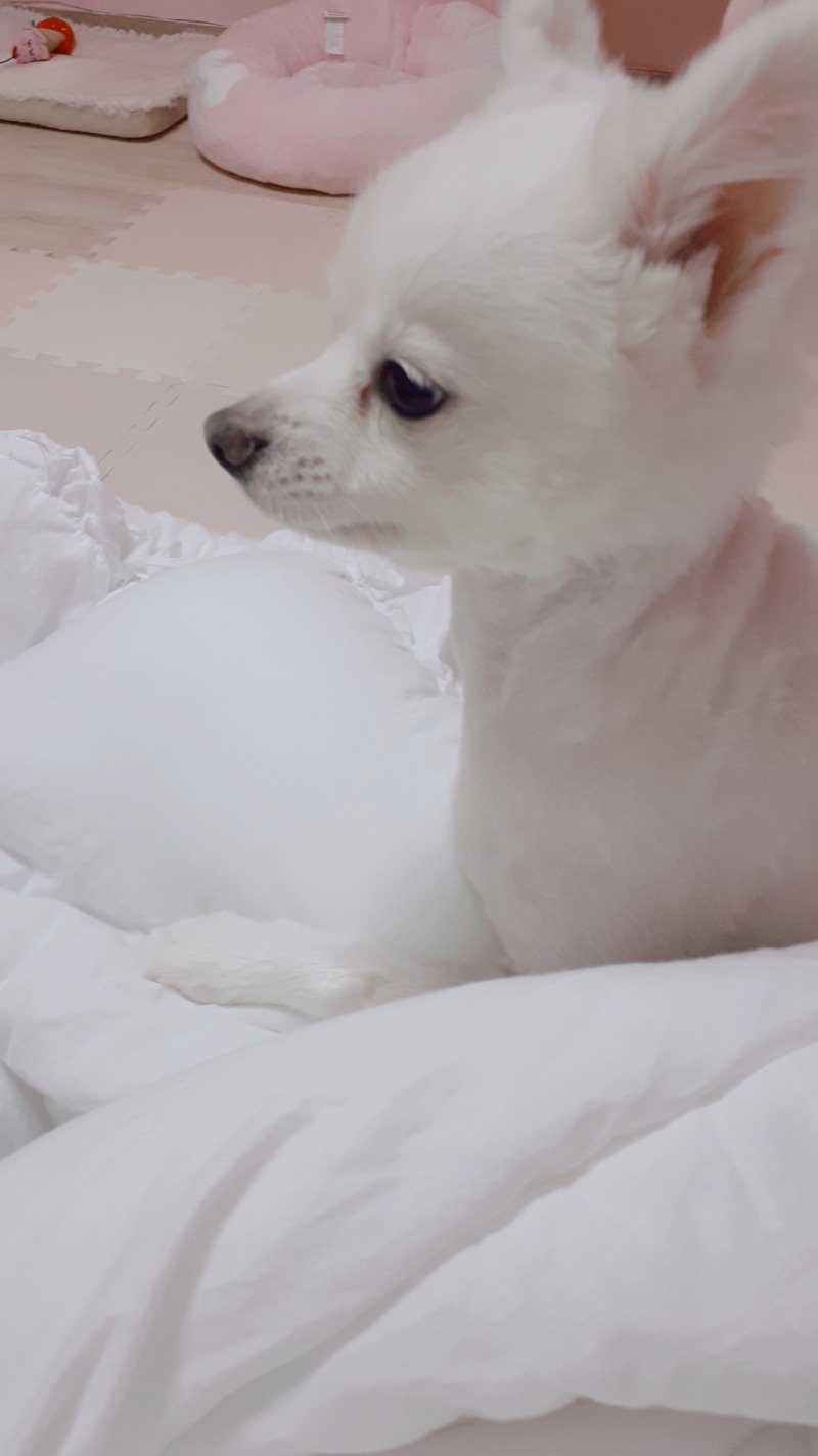 애기 5살때♡