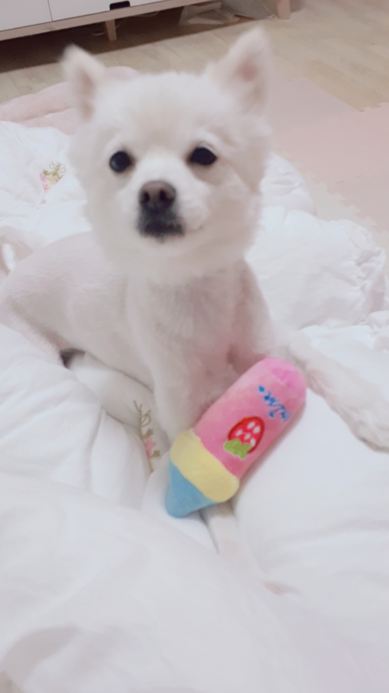 두치 6살때♡