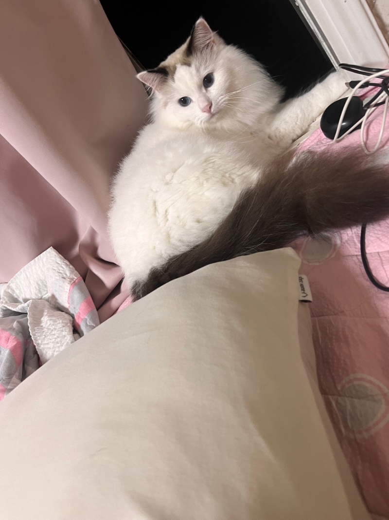 여전한 뚱뚱이