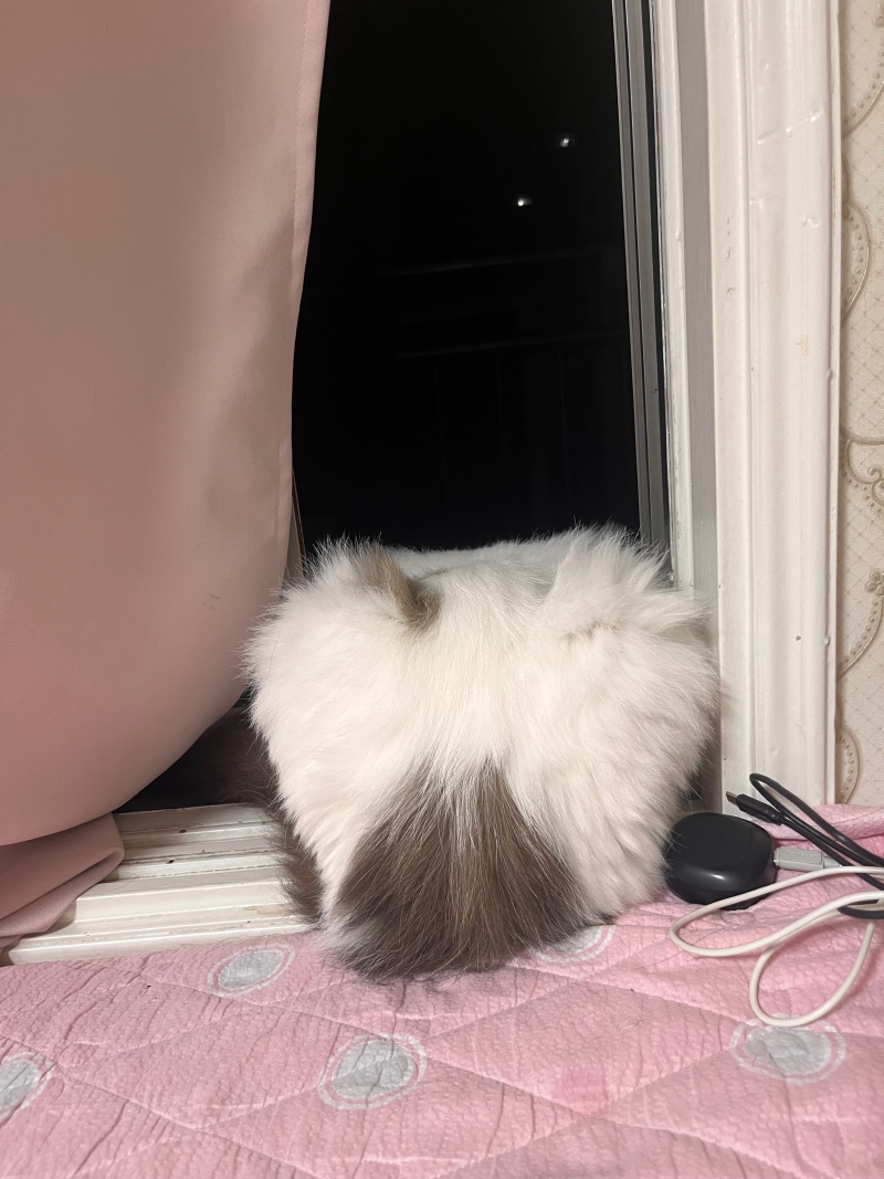 엉덩이