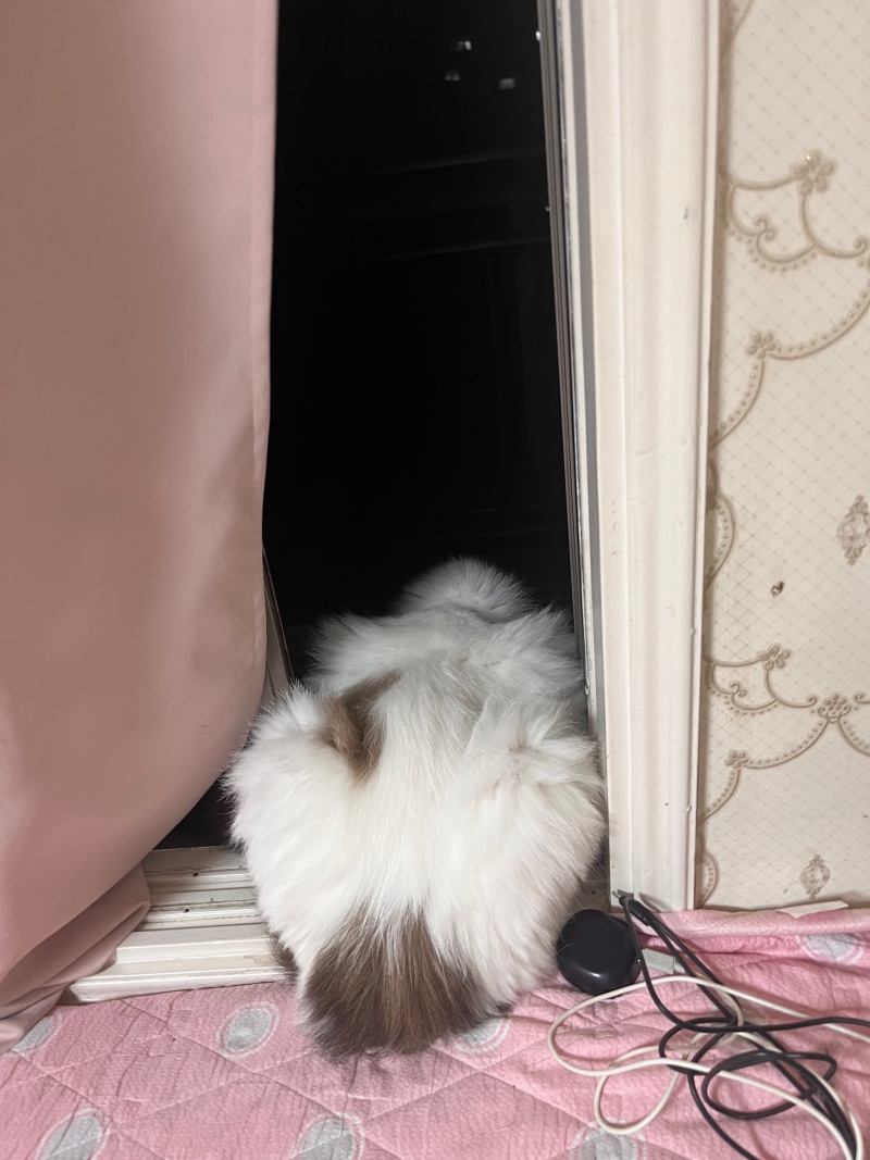 엉덩이