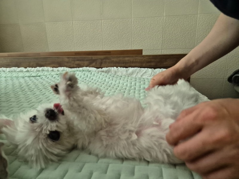 마사지단비ㅎㅎㅎ