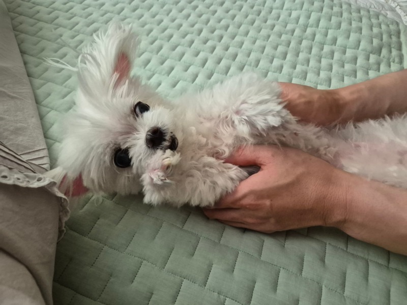 마사지단비ㅎㅎㅎ