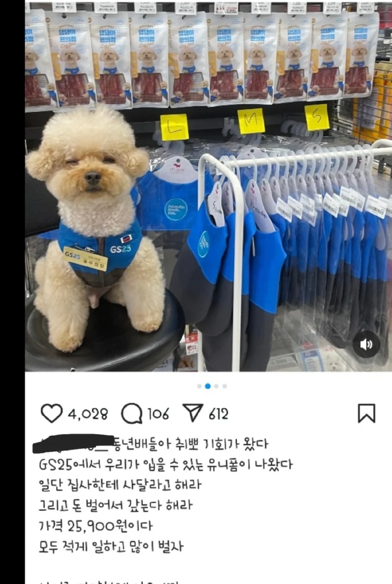 Gs25에서 출시한 점장 강아지 옷.jpg