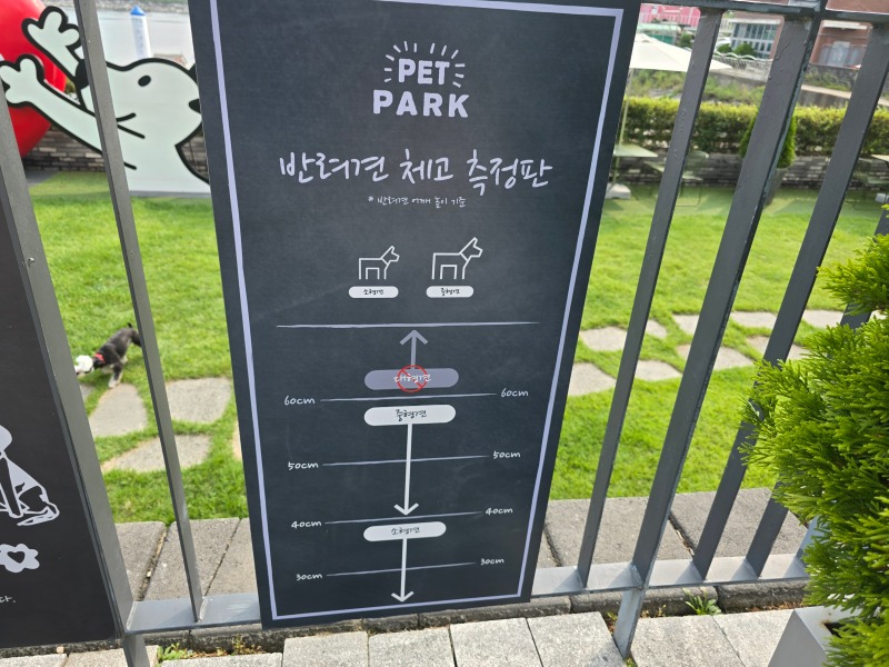 김포현대아울렛 펫파크에서 지친 강쥐들의 달리기~!