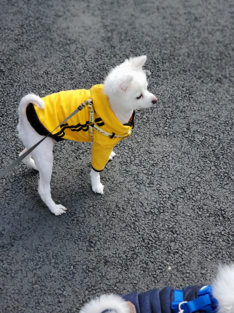 애깅♡