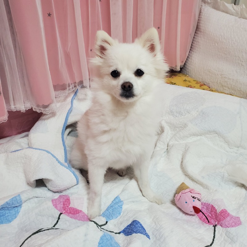 아주예쁘게나온사진