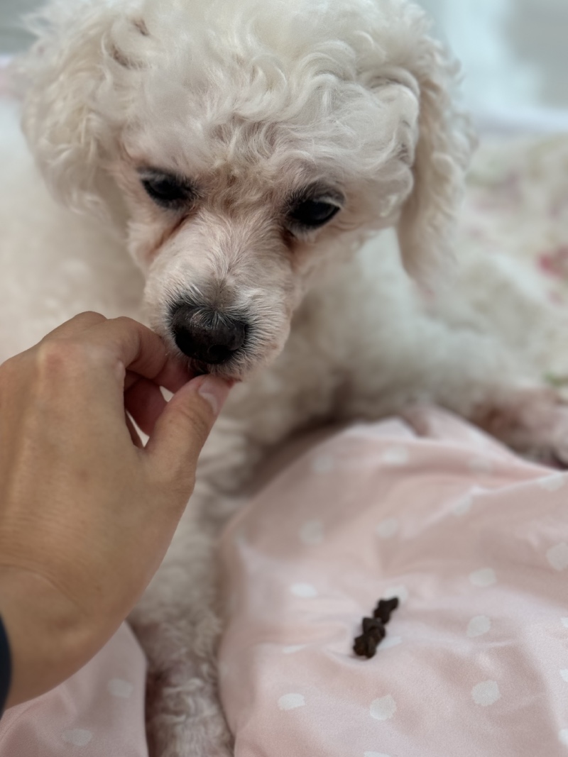 IMG_7203.jpeg