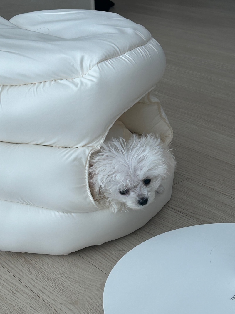 발라당 낸내하는 딱풀이