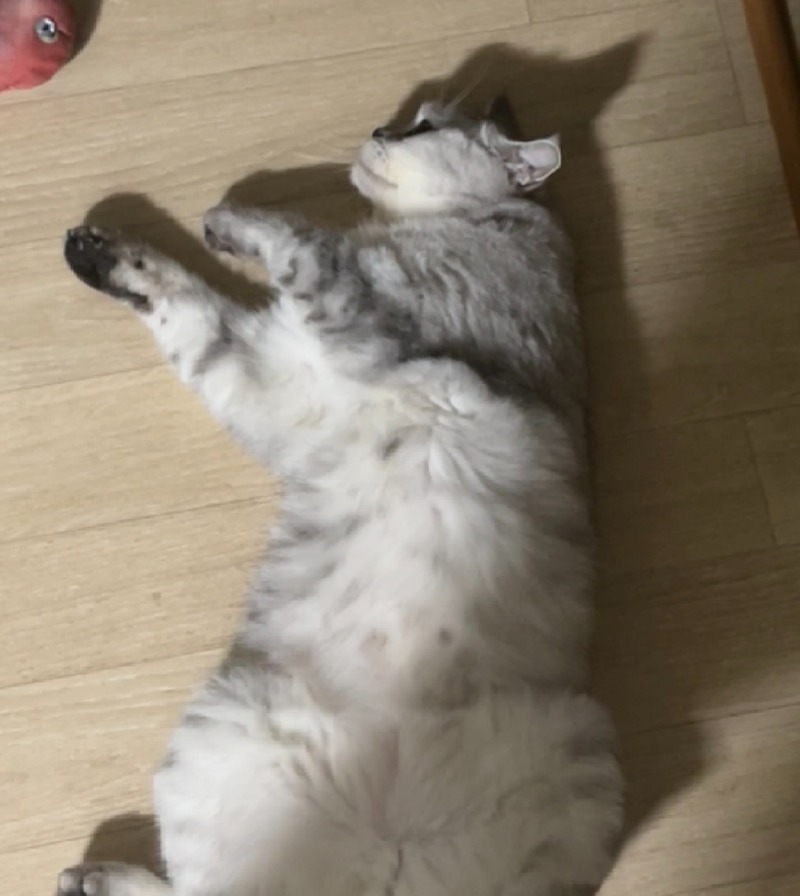 오늘의미미