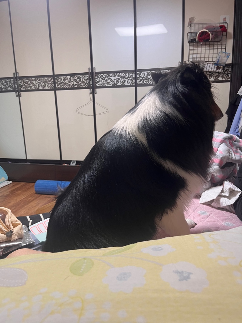 살이 더 찐건기?