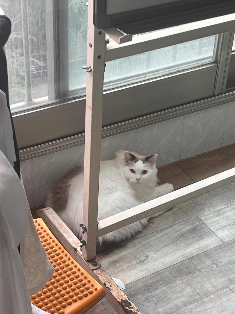 여름 대피소