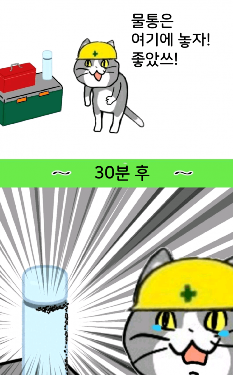싱글벙글 현장냥이 최신화 (ㅈ소냥이)
