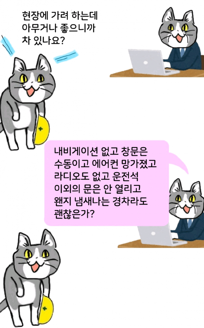 싱글벙글 현장냥이 최신화 (ㅈ소냥이)