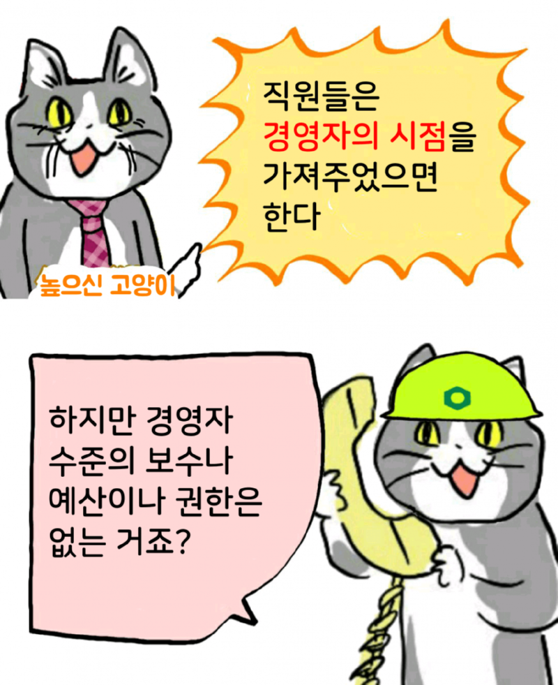 싱글벙글 현장냥이 최신화 (ㅈ소냥이)