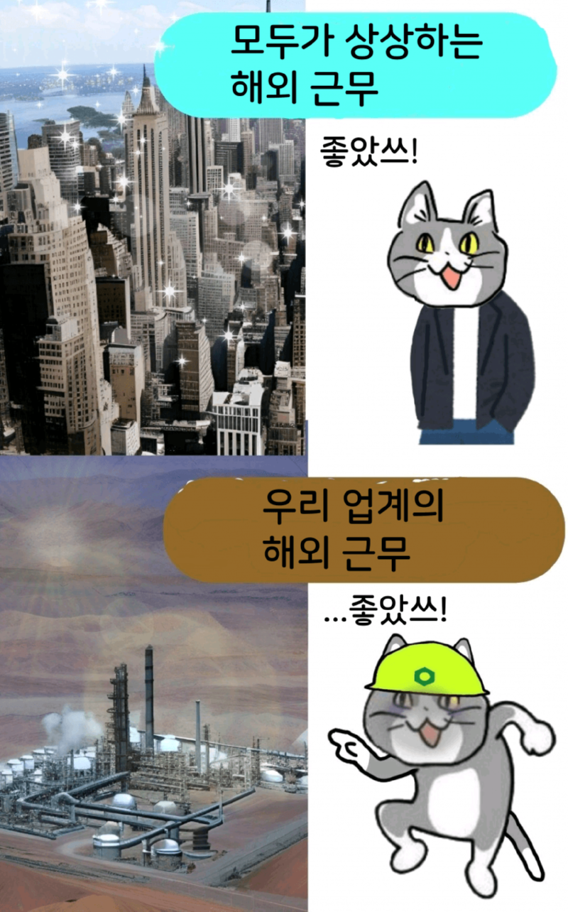 싱글벙글 현장냥이 최신화 (ㅈ소냥이)