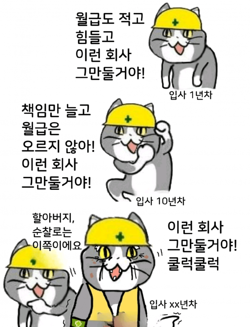 싱글벙글 현장냥이 최신화 (ㅈ소냥이)