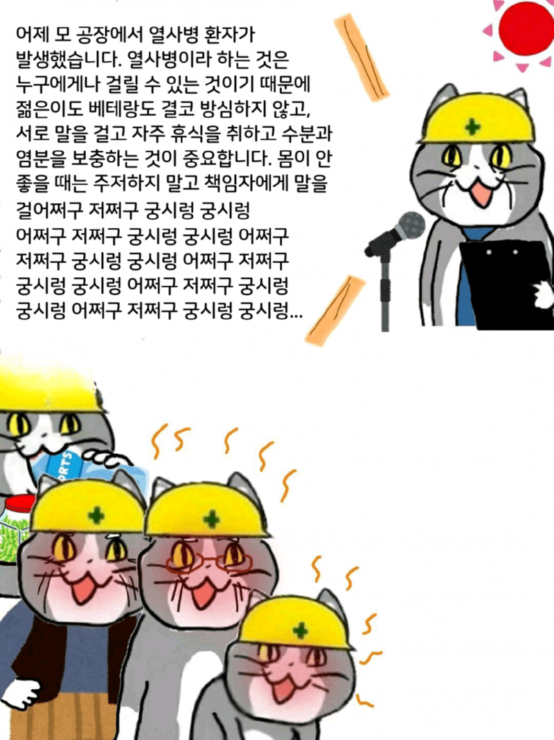 싱글벙글 현장냥이 최신화 (ㅈ소냥이)