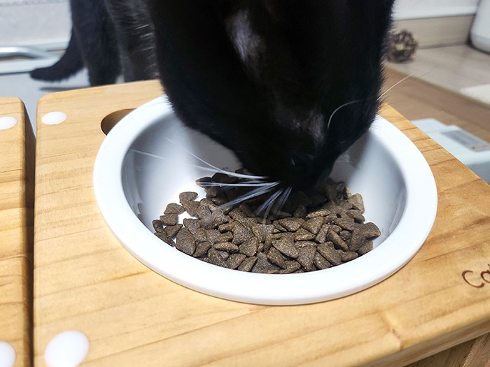 KakaoTalk_20240423_093954111_05.jpg