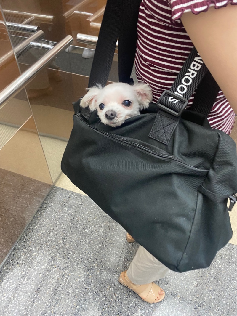 산책 나가는 중~