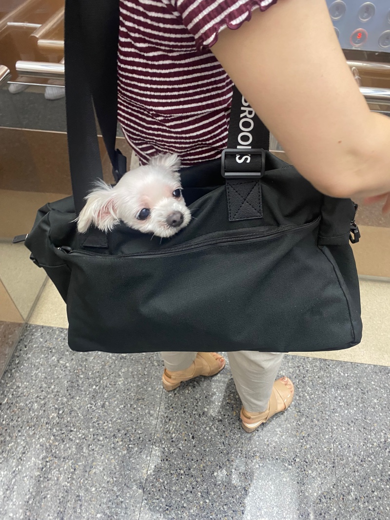 산책 나가는 중~