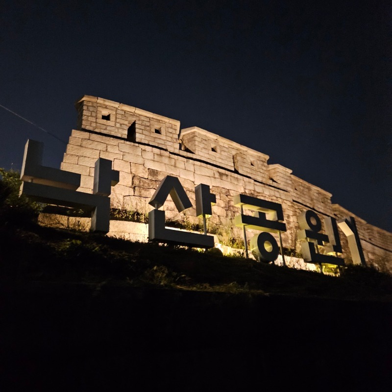 낙산공원 강아지랑 산책 