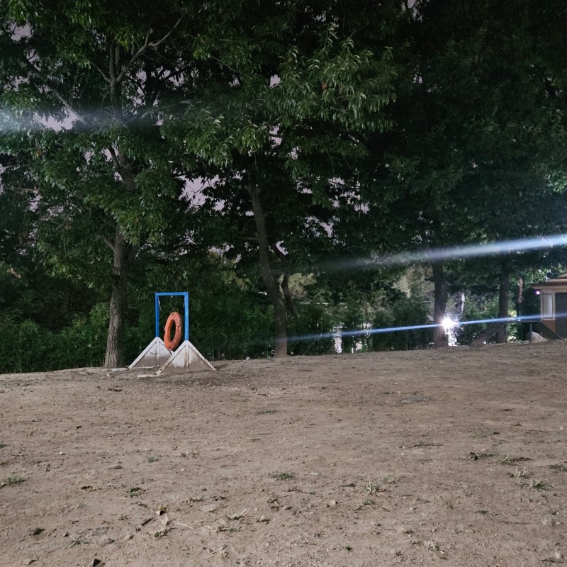 일산호수공원 반려견 놀이터