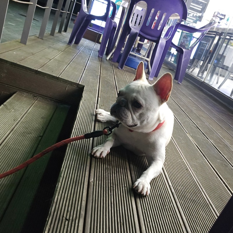 찐빵빵