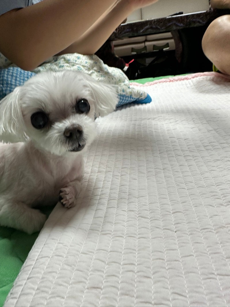 단비단비야!