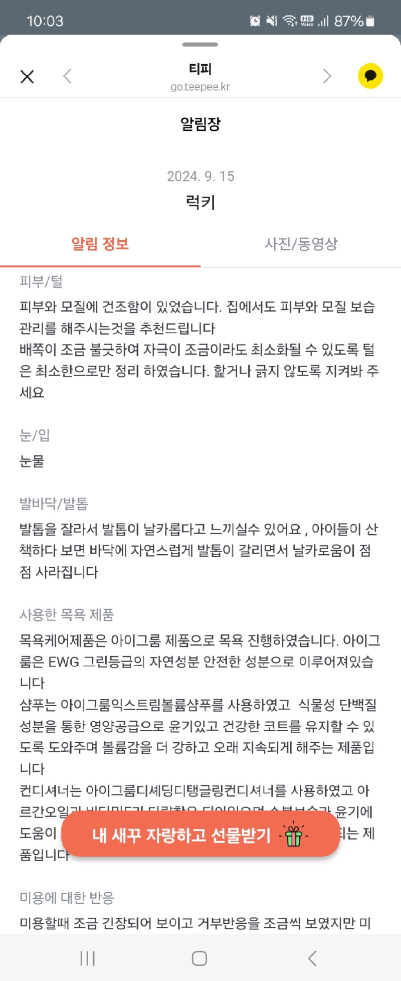 인천 송도 애견미용실 그루머솔