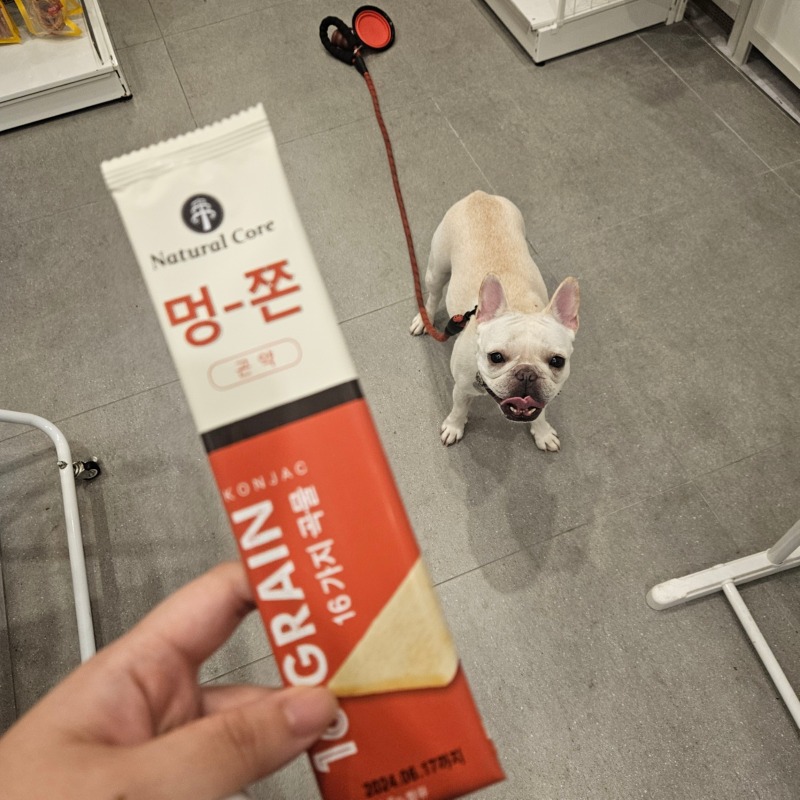 멍쫀4.jpg