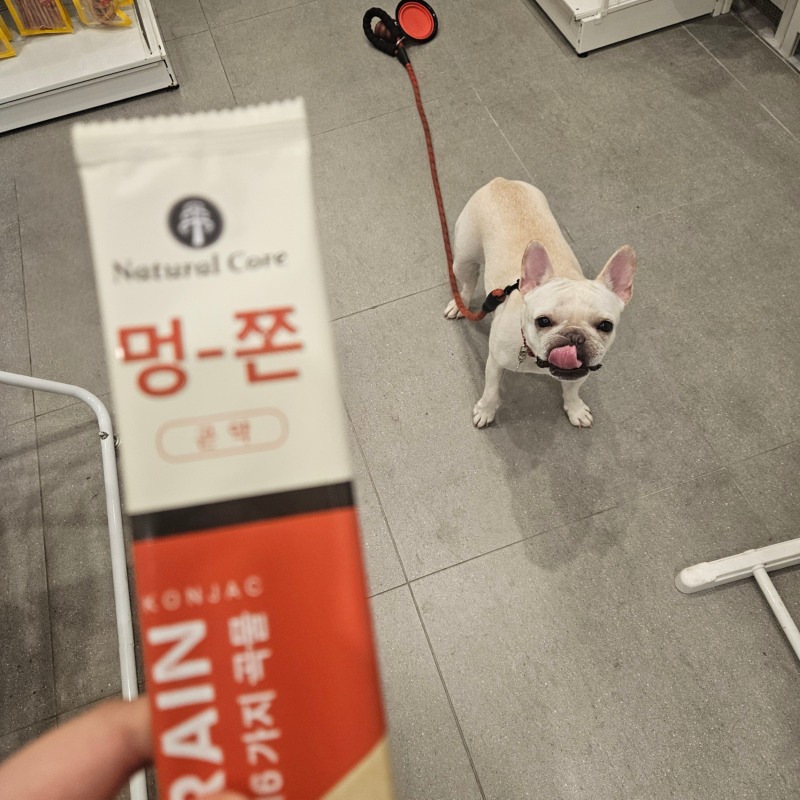 멍쫀3.jpg