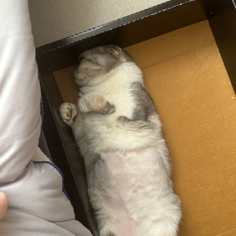 KakaoTalk_20240923_184937387_18.jpg