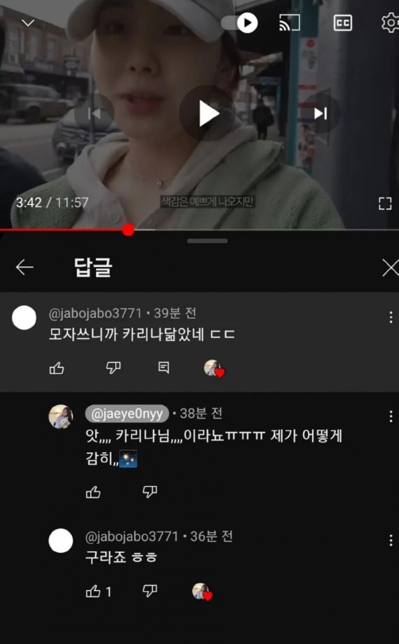 카리나 닮았다는 여행 유튜버.jpg