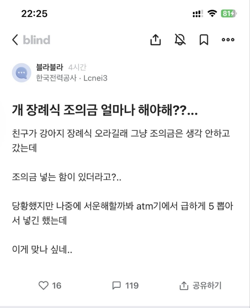 개 장례식 조의금 얼마나 해야하냐 