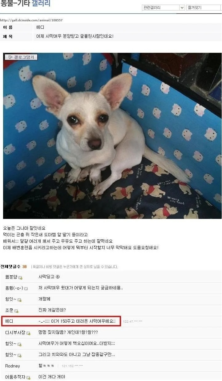 150만원에 분양받은 사망여우 