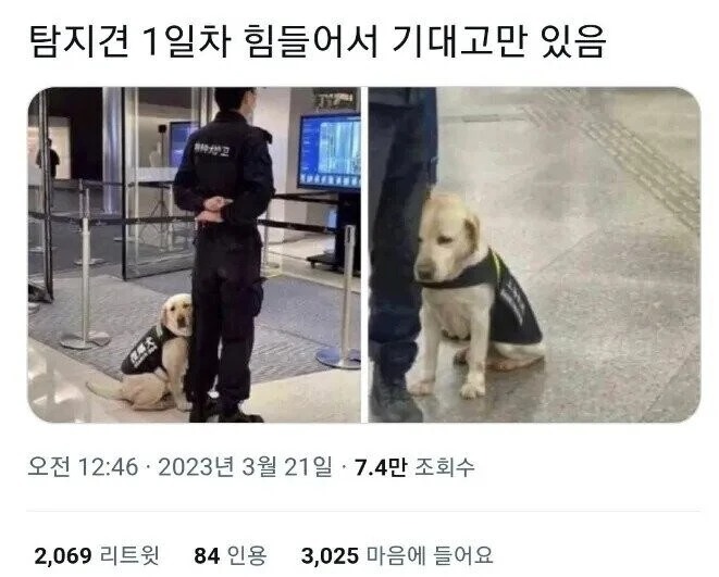마약 탐지견 1일차