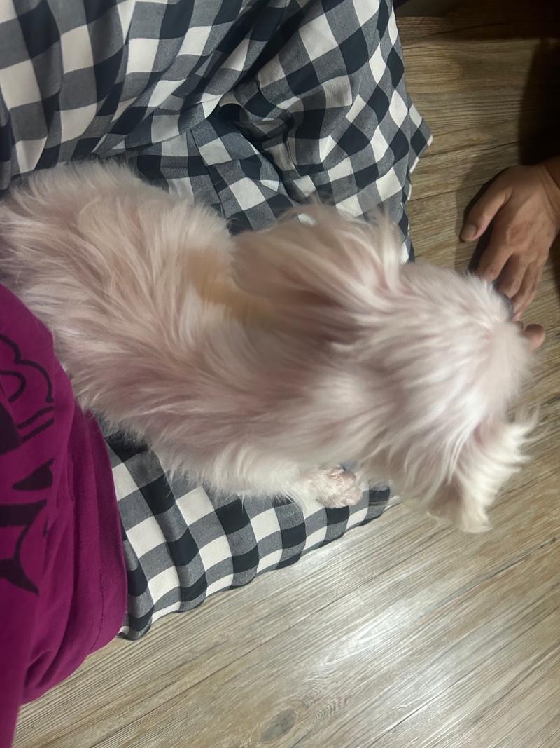 귀엽쭁