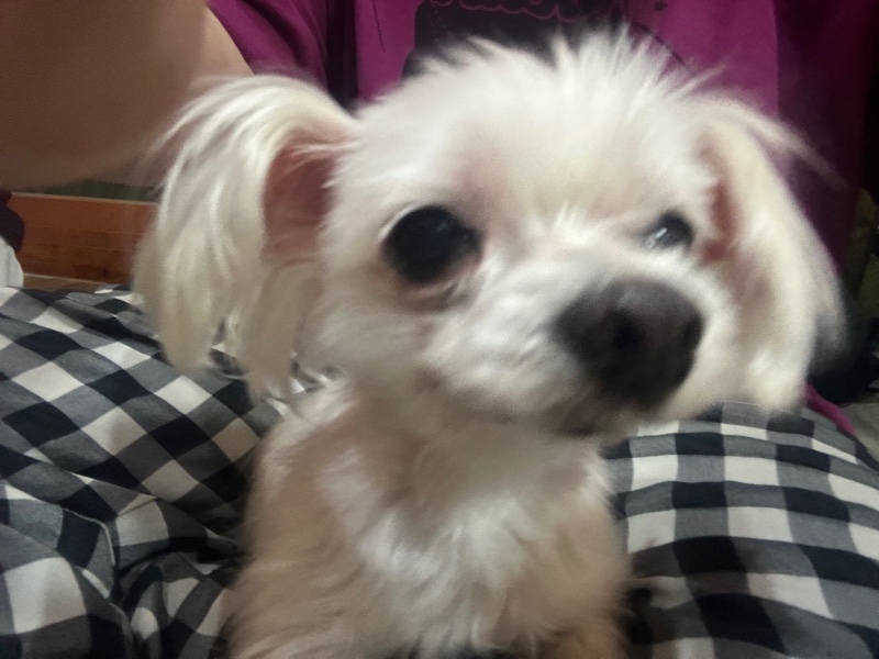 귀엽쭁